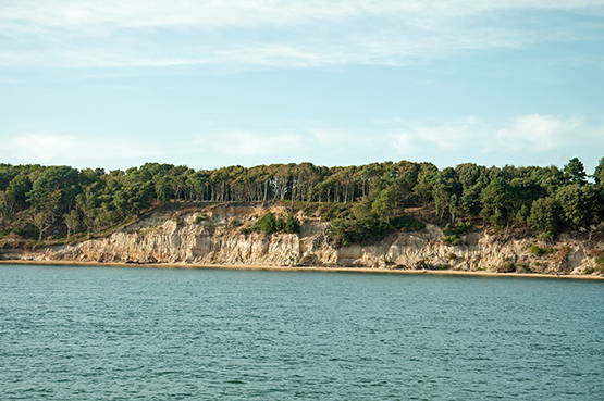 Brownsea Island Licensed 1