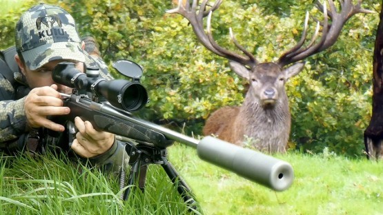 Capreolus Club Red Stag Stalking 555px