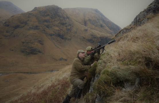 Dalness Estate Deer Stalking