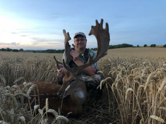 Fallow Buck Salisbury 