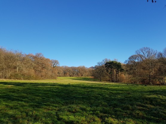 Mayfield Ground Capreolus Club 