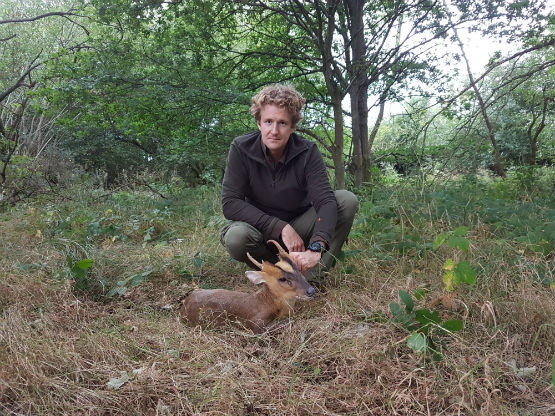 Medal Muntjac Buck 