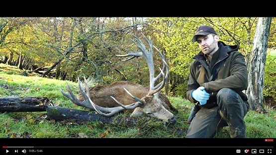 Red Stag Deer Hunting 