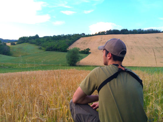 Roe Buck Hunt