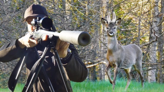 Roebuck England 