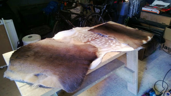 finished deer skins 555